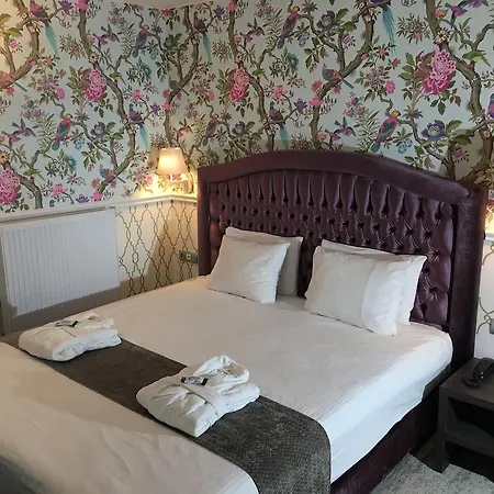 Dukes' Academie - By Dukes' Collection Brugge
